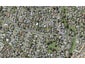 34 Kurnell Drive, Botany Downs, Auckland - Carousel 1