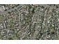 33B Udys Road, Pakuranga, Auckland - Carousel 1