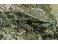 122 Wade River Road, Wade Heads, Whangaparāoa - Carousel 1