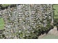 15B Cleve Road, Green Bay, Auckland - Carousel 1