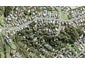 15 Cochrane Avenue, Arkles Bay, Whangaparaoa - Carousel 1
