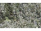 6 Flavia Close, Torbay, Auckland - Carousel 1