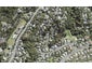 47 Emlyn Place, Torbay, Auckland - Carousel 1