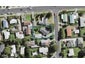 1 Ranui Avenue, Ranui, Auckland - Carousel 1