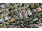 29 Marlborough Avenue, Glenfield, Auckland - Carousel 1