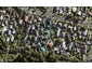 1/26 Fairlands Avenue, Waterview, Auckland - Carousel 1