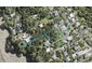 103 Tanekaha Road, Titirangi, Auckland - Carousel 1