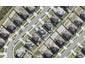 80 Mackay Drive, Greenhithe, Auckland - Carousel 1