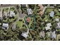 32 Fowler Street, Northcote, Auckland - Carousel 1