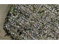 22 Saxon Street, Waterview, Auckland - Carousel 1