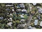 43 Seaview Avenue, Northcote, Auckland - Carousel 1