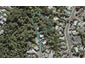 13 Brussells Place, Birkenhead, Auckland - Carousel 1