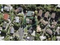 2/4 Braund Place, Glenfield, Auckland - Carousel 1