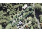 20 Rimu Road, Oratia, Auckland - Carousel 1