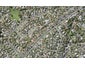 110C Hutchinsons Road, Bucklands Beach, Auckland - Carousel 1