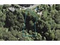 348 Huia Road, Titirangi, Auckland - Carousel 1