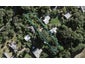 58 Albert Crescent, Ostend, Waiheke Island - Carousel 1