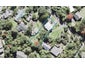 18 Raroa Terrace, Waiatarua, Auckland - Carousel 1