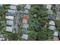 9 Hadfield Terrace, Kelburn, Wellington - Carousel 1
