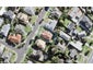 57 Nimstedt Avenue, Oteha, Auckland - Carousel 1