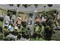 31 Herd Road, Hillsborough, Auckland - Carousel 1