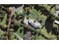 50 Chester Avenue, Greenhithe, Auckland - Carousel 1