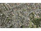 10 Lamia Place, The Gardens, Auckland - Carousel 1