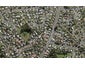 33 Caribbean Drive, Unsworth Heights, Auckland - Carousel 1