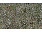 8 Kepler Place, Clover Park, Auckland - Carousel 1