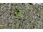 7/21 Erima Avenue, Point England, Auckland - Carousel 1