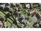 4 Kotero Road, Mount Roskill, Auckland - Carousel 1
