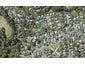 73J Park Rise, Campbells Bay, Auckland - Carousel 1