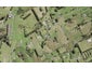 81 Ross Lane, Kumeu - Carousel 1