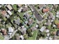 11 Mayer Place, Ranui, Auckland - Carousel 1