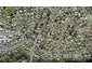107F Moire Road, West Harbour, Auckland - Carousel 1