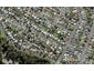 13 Springfield Road, Morningside, Auckland - Carousel 1