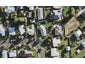 36 Peter Buck Road, New Windsor, Auckland - Carousel 1