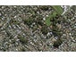 49 Hillcrest Avenue, Hillcrest, Auckland - Carousel 1