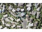 46E Cranbrook Place, Glendowie, Auckland - Carousel 1