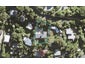 187 Wade River Road, Wade Heads, Whangaparaoa - Carousel 1