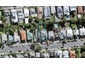 23 Brown Street, Ponsonby, Auckland - Carousel 1