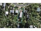 76 Queens Drive, Oneroa, Waiheke Island - Carousel 1