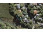 24 Parawai Crescent, Ponsonby, Auckland - Carousel 1