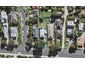 193 Onewa Road, Birkenhead, Auckland - Carousel 1