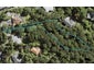322A Titirangi Road, Titirangi, Auckland - Carousel 1