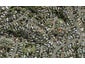 71 Girrahween Drive, Totara Vale, Auckland - Carousel 1