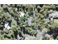 2 Tui Crescent, Waiatarua, Auckland - Carousel 1
