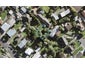1158D New North Road, Mount Albert, Auckland - Carousel 1
