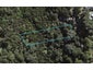 55 Victoria Road South, Onetangi, Waiheke Island - Carousel 1