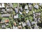 9D Aplin Place, Birkdale, Auckland - Carousel 1